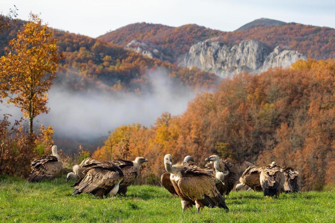 Hotel Rural El Sabinar Cremenes Dış mekan fotoğraf